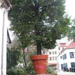 MGV Tour Thüringrn 2015